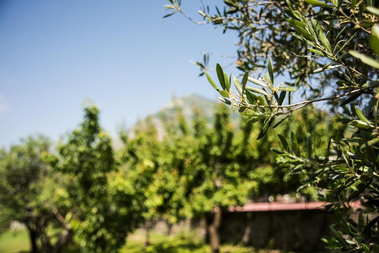 Casa Vacanza Dal Cavaliere Montesarchio Bagian luar foto